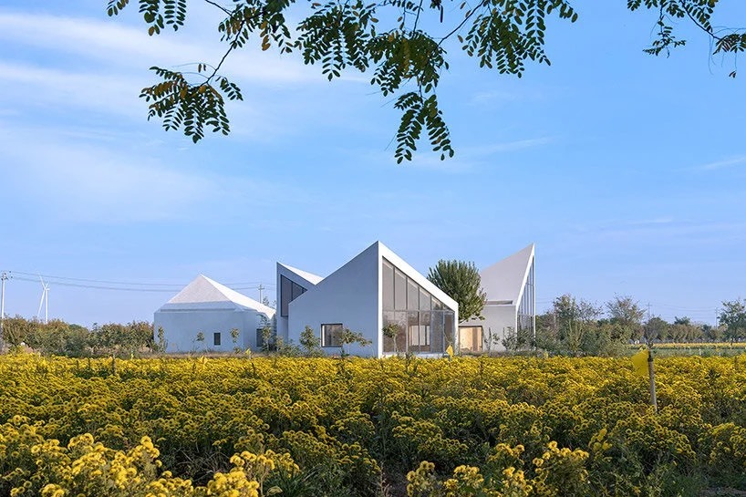 کتابخانه روستایی آتلیه Xi مجموعه ‌ای از بلوک ‌های زاویه ‌دار در یک زمین پوشیده از گل است
