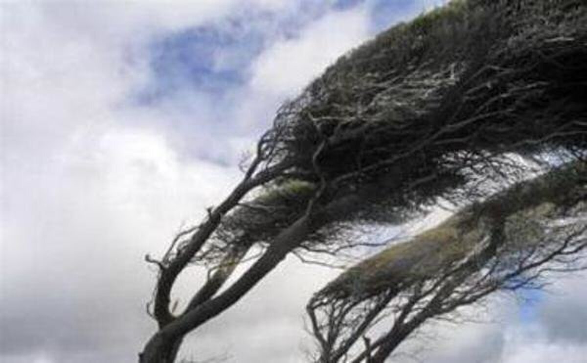 وزش باد در استان مرکزی شدت می‌گیرد