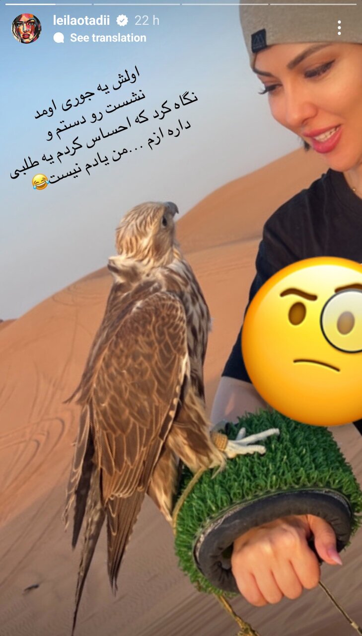 پرنده شکاری بر روی سر لیلا اوتادی بازیگر در دبی (عکس)