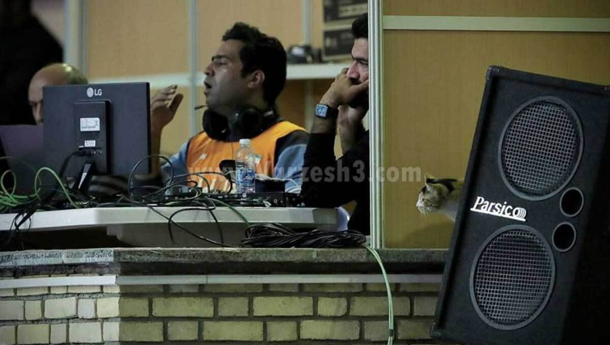 تماشاگر خاص و ویژه والیبال ایران (عکس)