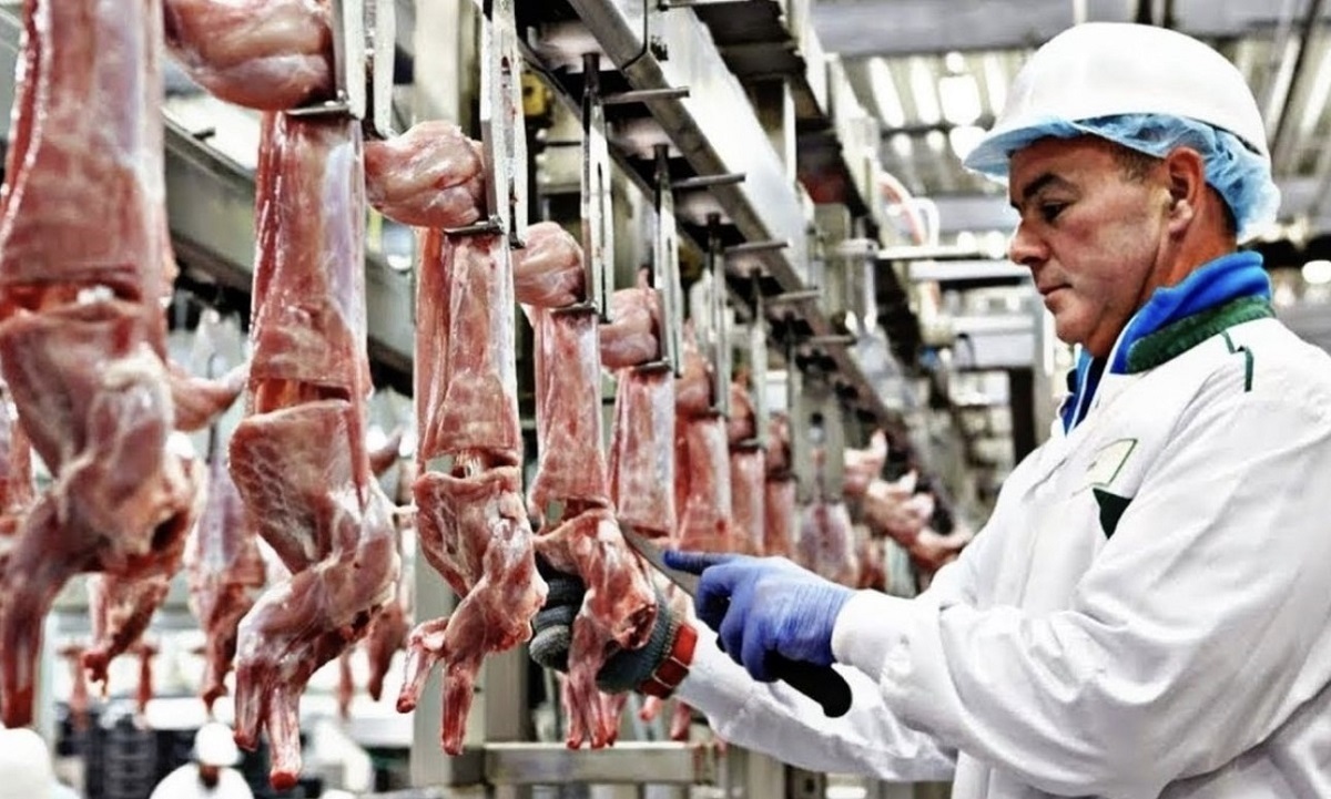 عملیات پرورش و بسته بندی گوشت خرگوش، شتر و شتر مرغ در کارخانه (فیلم)