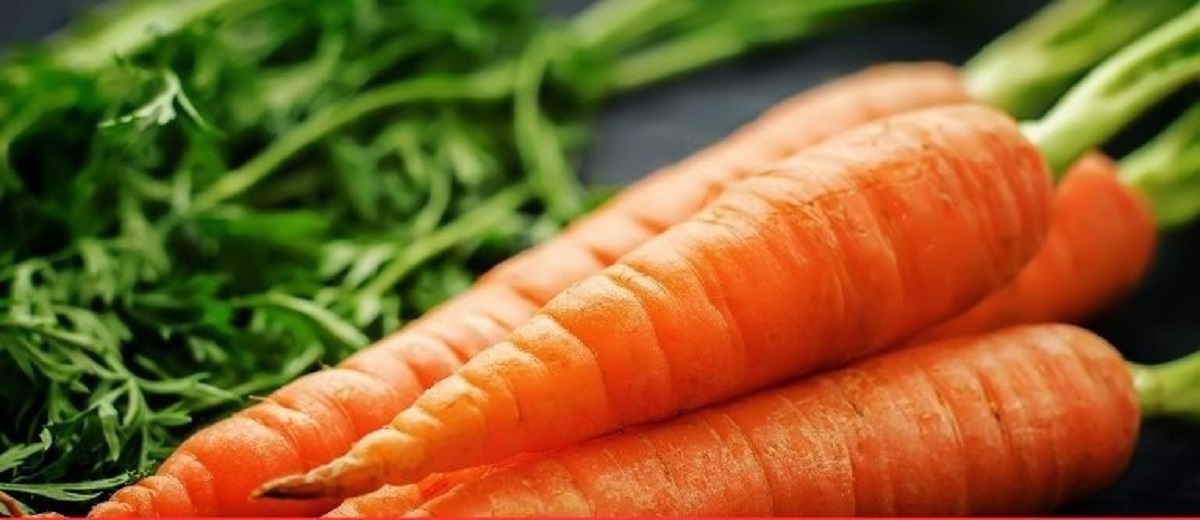 از خواص هویج برای مردان