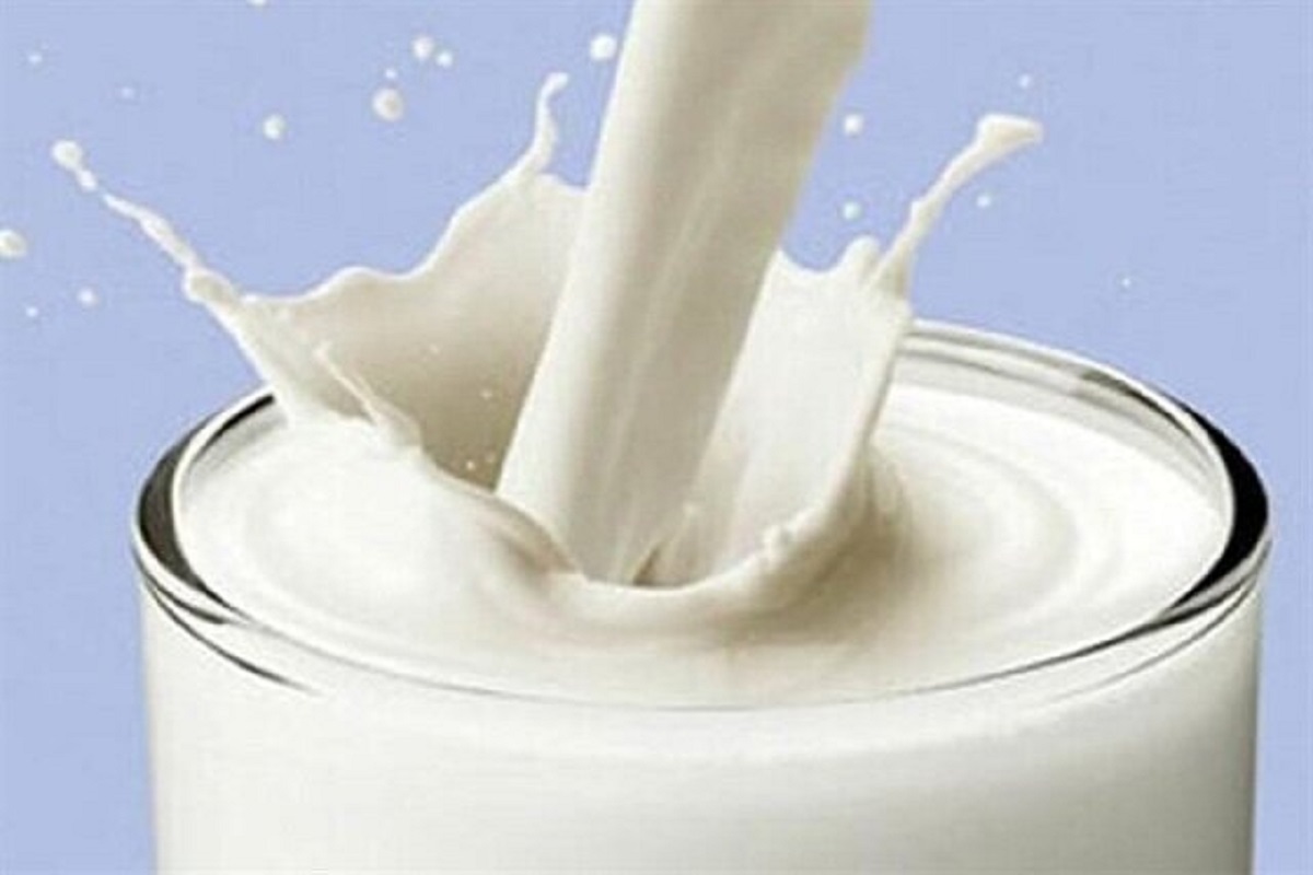 ارتقای امنیت غذایی و ایمنی بدن با شیر حاوی آنتی‌بادی