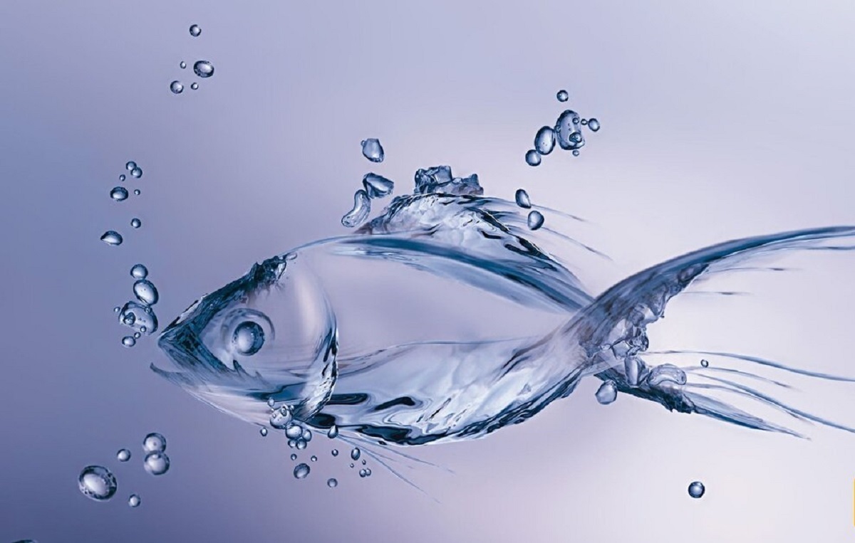 خلاقیت بی نظیر یک طراح لوستر با الهام از مدل دریا و ماهی(+عکس)