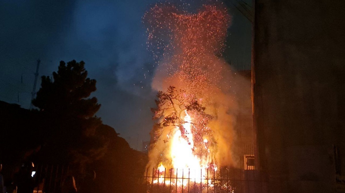 درخت نوبهار در کرمانشاه در آتش سوخت (فیلم)
