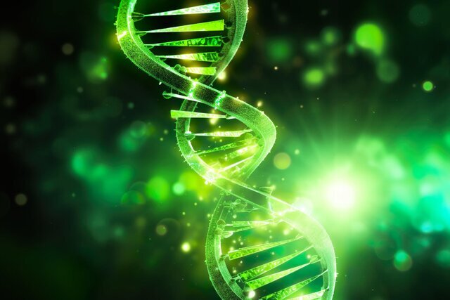 گام‌های مهندسی ژنتیکی برای تحقق رویای افزایش طول عمر
