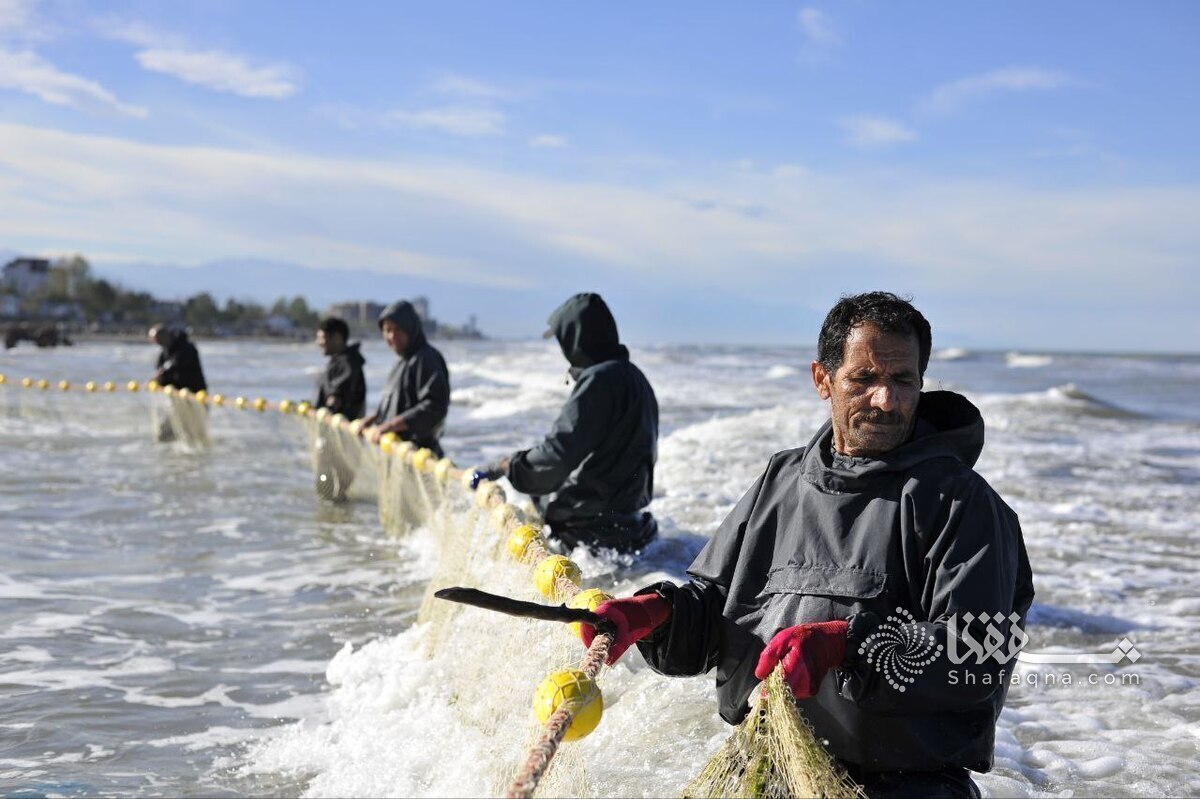 تورهای پاره، سهم صیادان از ماهیگیری (عکس)
