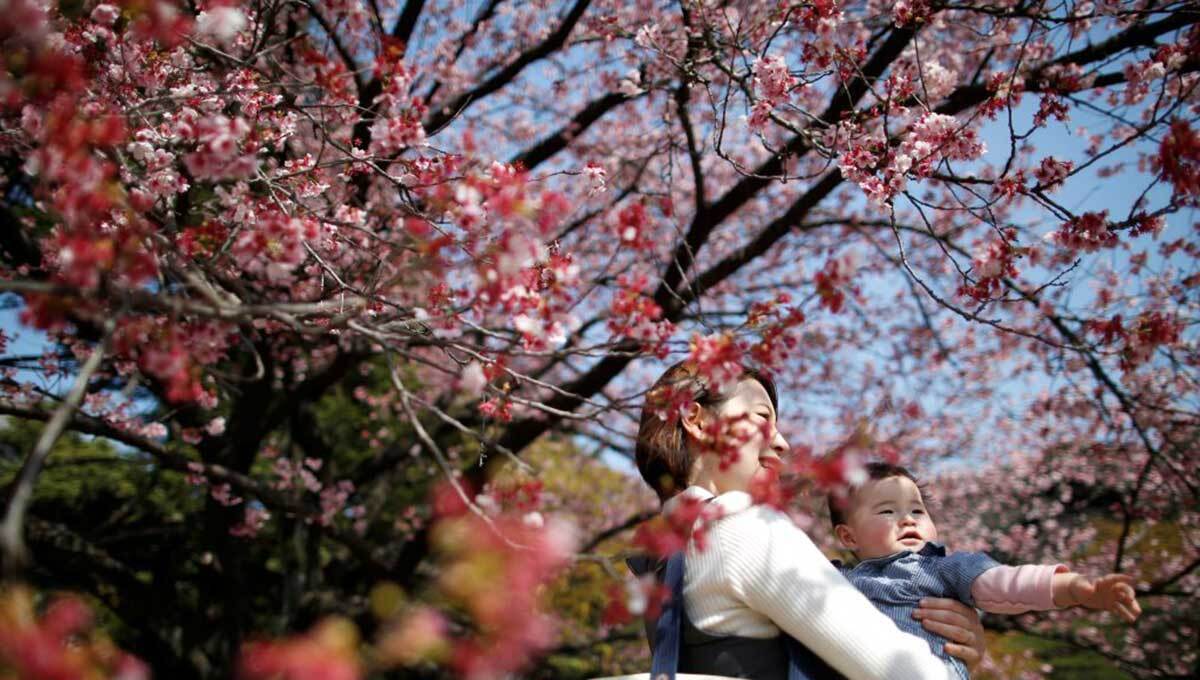 رکورد تاریخی ژاپنی ها در عدم تمایل به فرزندآوری!