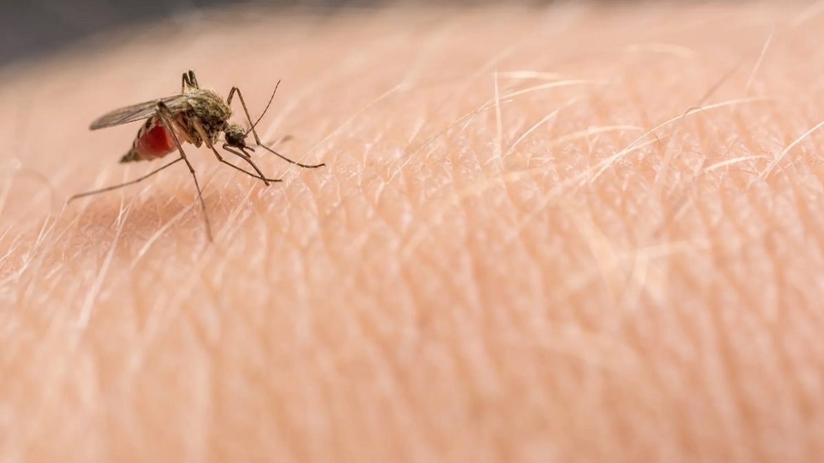 پشه‌‌ها به سراغتان می‌آیند؟ بهتر است صابونتان را عوض کنید (فیلم)