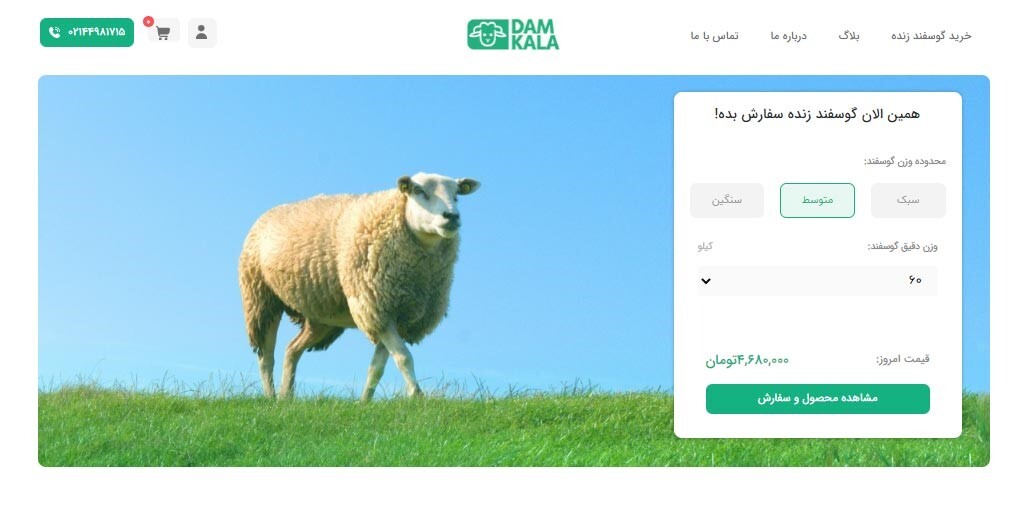 سایت دامکالا مرجعی برای خرید گوسفند زنده