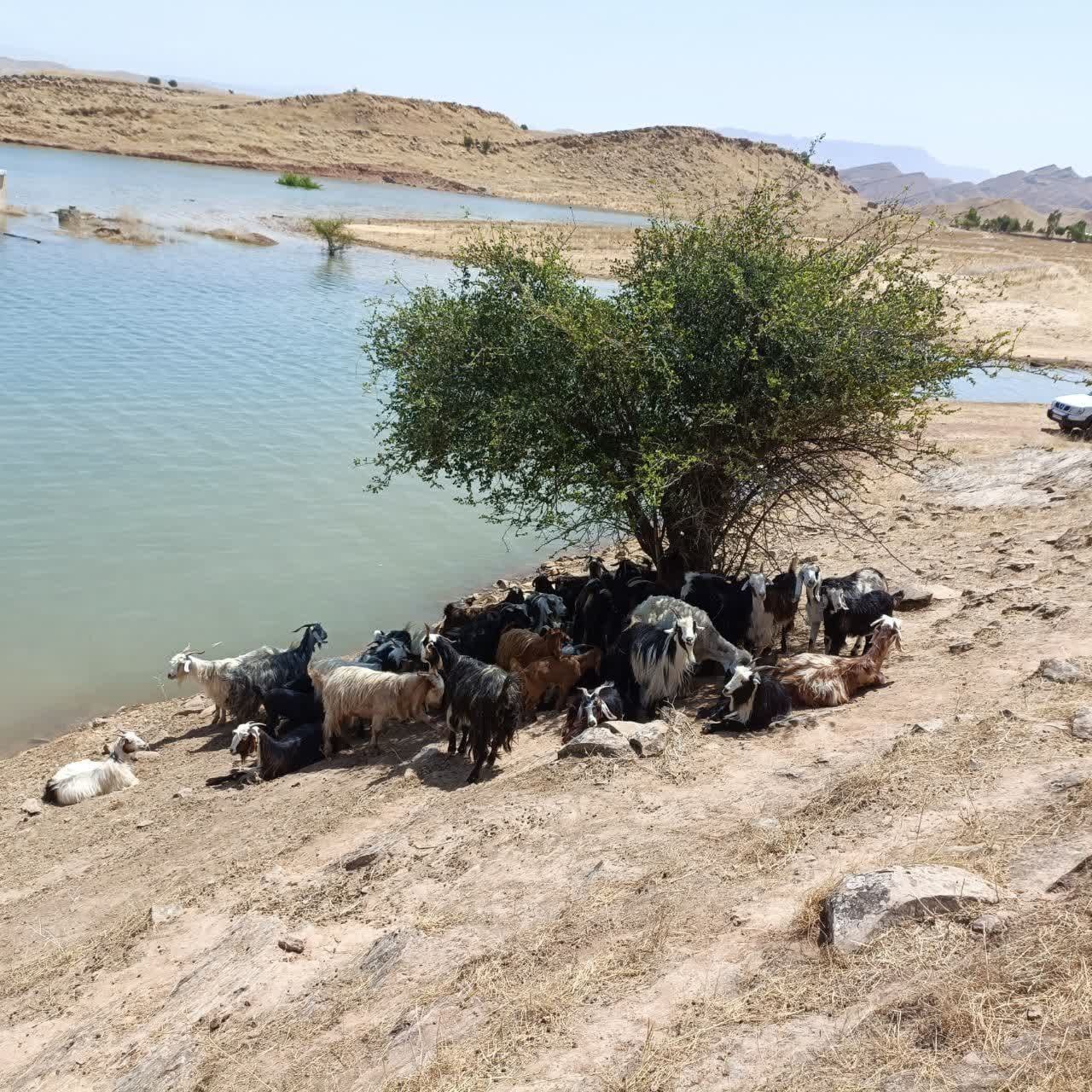 روستاهای حاشيه سد گتوند خوزستان زير آب رفتند (+عکس و فیلم)