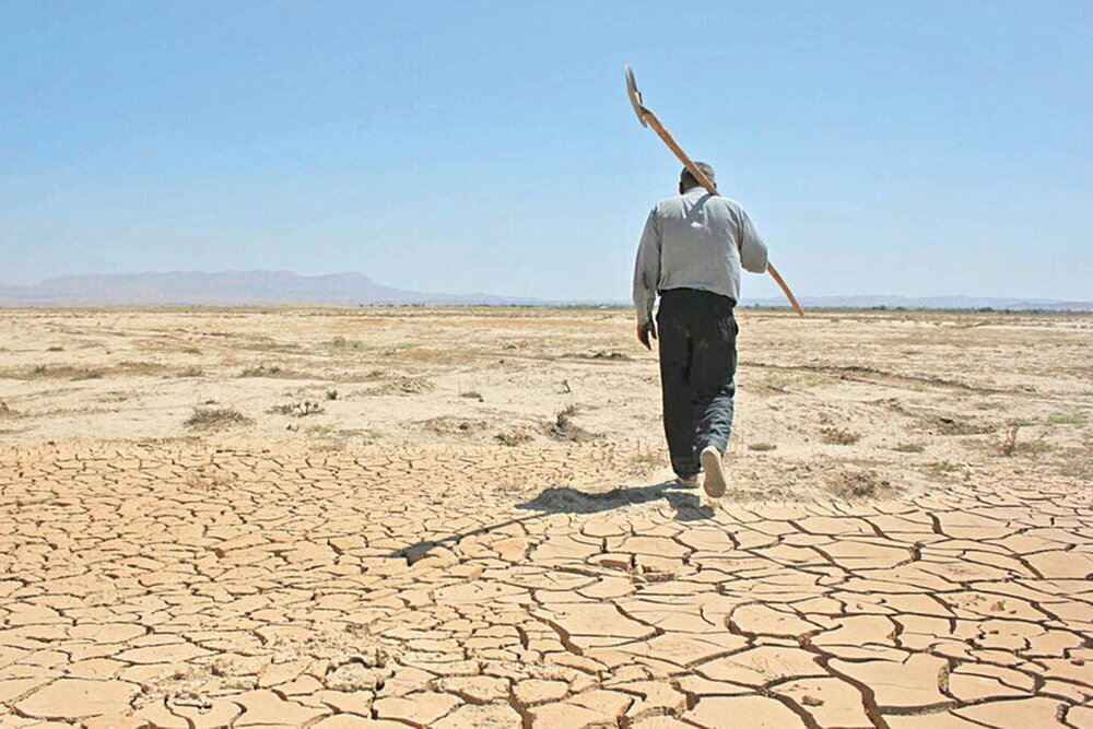 مدیریت بحران: منتظر تابستان گرم باشید/ نیمی از جنگل‌های شمال را از دست داده‌ایم