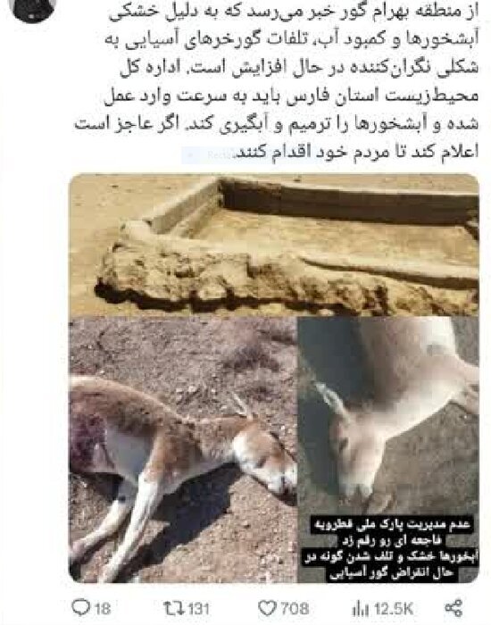 ادعای مرگ گورخرهای ایرانی