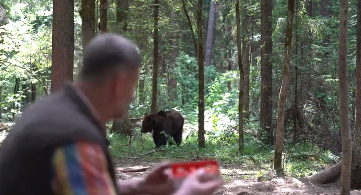 شیرینی خوردن خرس عظیم‌الجثه از دست انسان (فیلم)