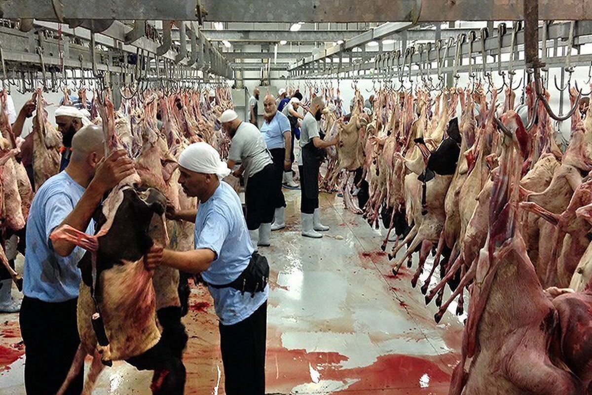 گوشت‌ های قربانی حج به ایران فرستاده نمی‌شود