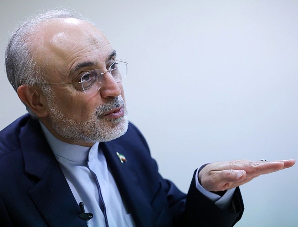 علی اکبر صالحی: اگر ایران بخواهد اوج بگیرد، باید تکلیف روابط بین‌ الملل خود را روشن کند