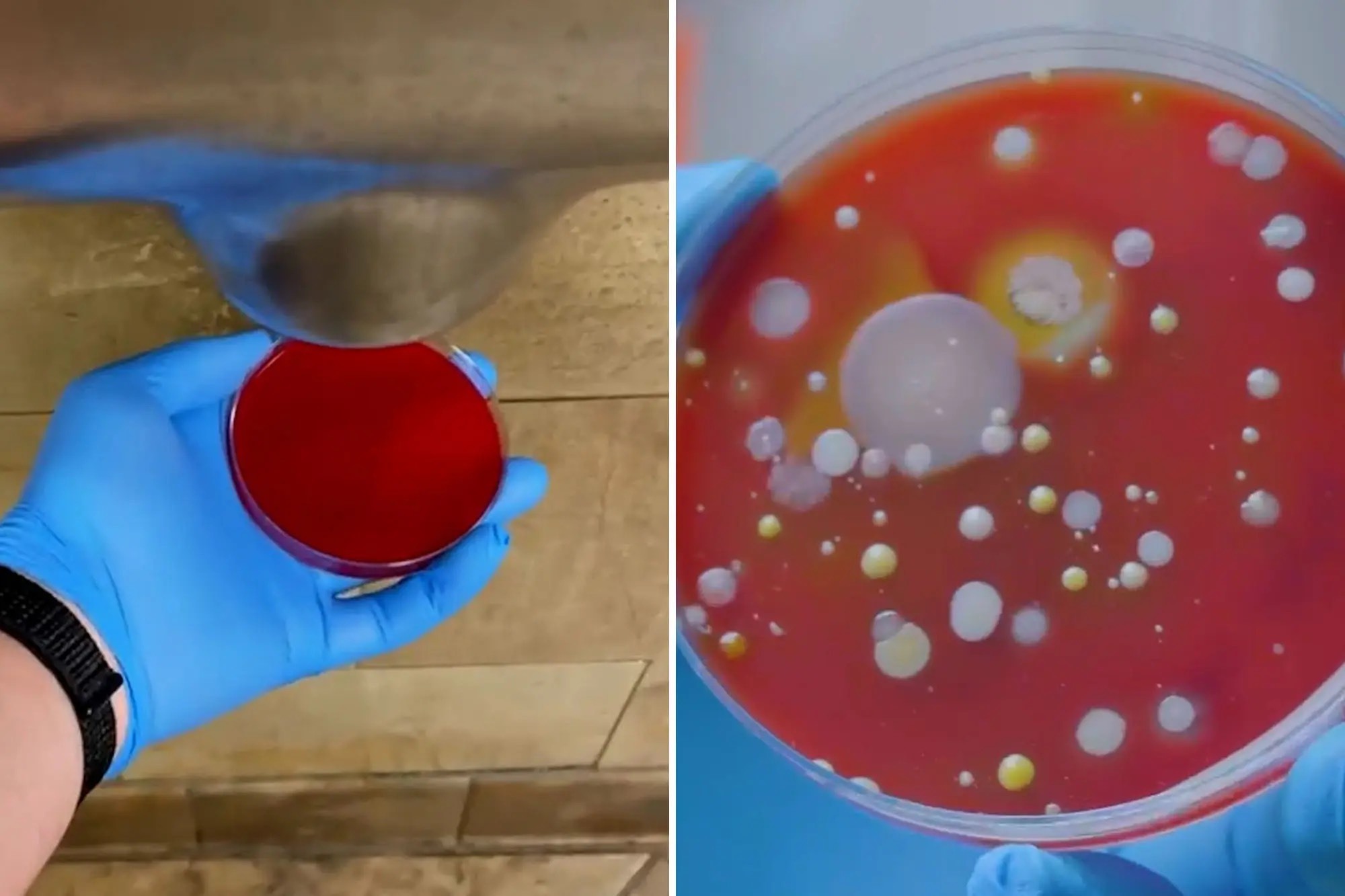 دستگاه های خشک کن دست میکروب ها را بیشتر از دستمال کاغذی پخش می کنند! (+ عکس) 2
