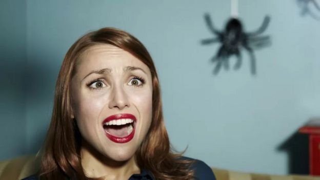 ترس از عنکبوت