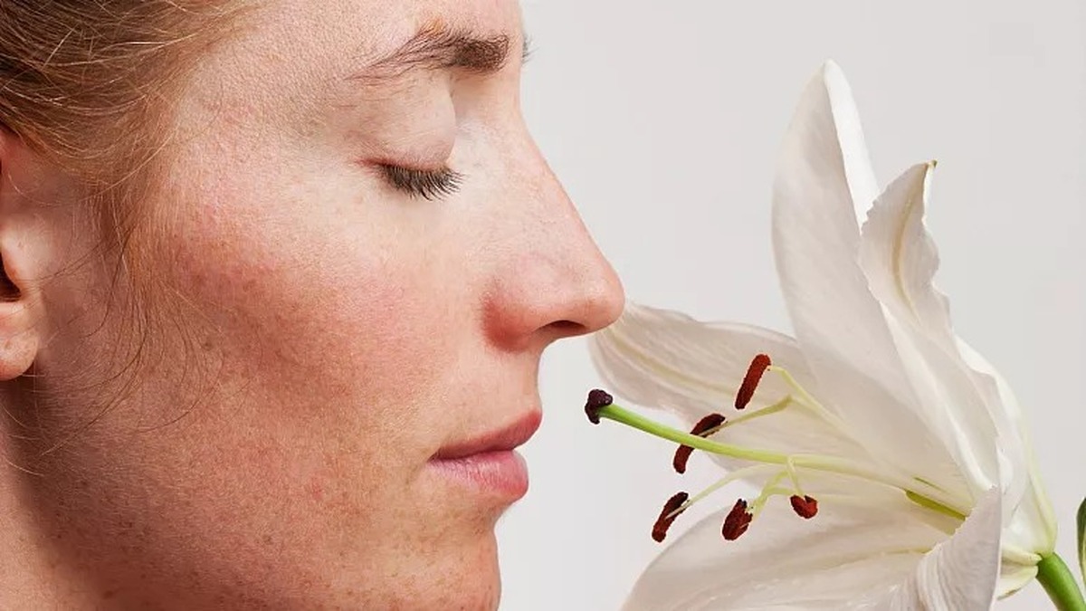 نتیجه یک تحقیق: با بو کشیدن حافظه را تقویت کنید