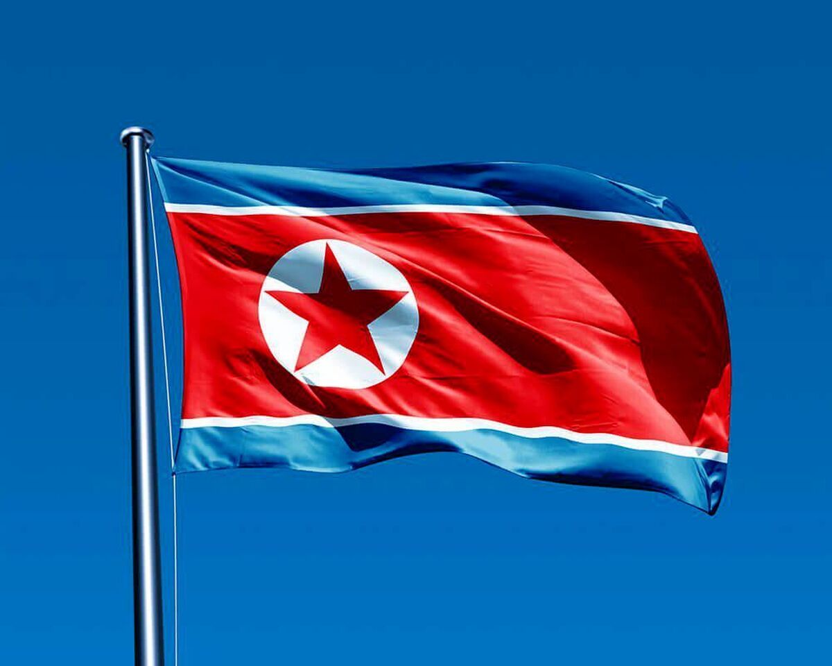 سازمان ملل درباره کره شمالی :  سرکوب و دستگیری مردم /  گرسنگی /  کمبود دارو /  فضای امنیتی