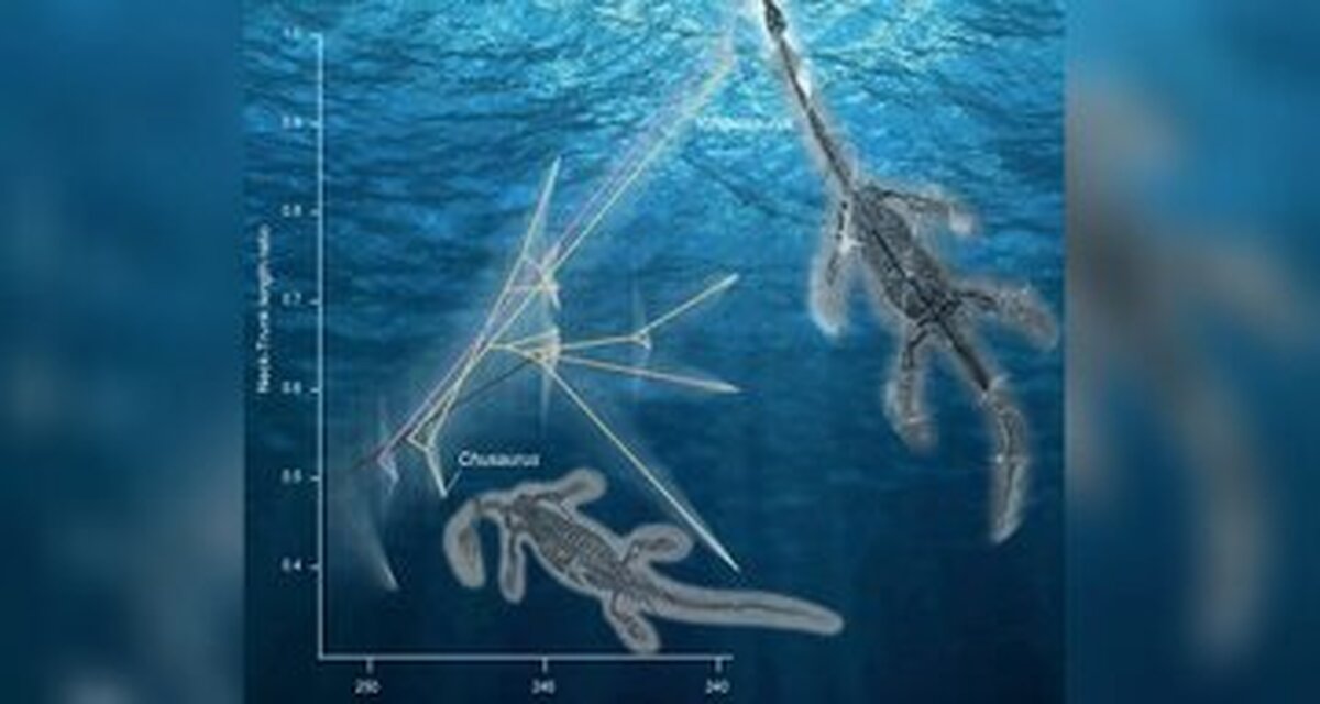 فسیل هیولای دریایی ۲۵۰ میلیون ساله در چین پیدا شد (+عکس)