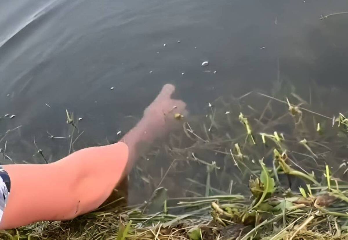 ماهی گیری بدون هیچ چیزی و فقط با انگشت شست! (فیلم)