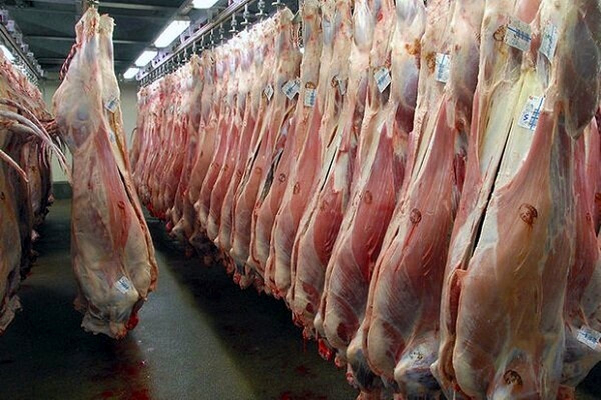 گوشت گوسفند کنیا به ایران رسید / سفیر ایران :‌ امیدوارم طعم گوشت کنیایی مورد پسند واقع شود