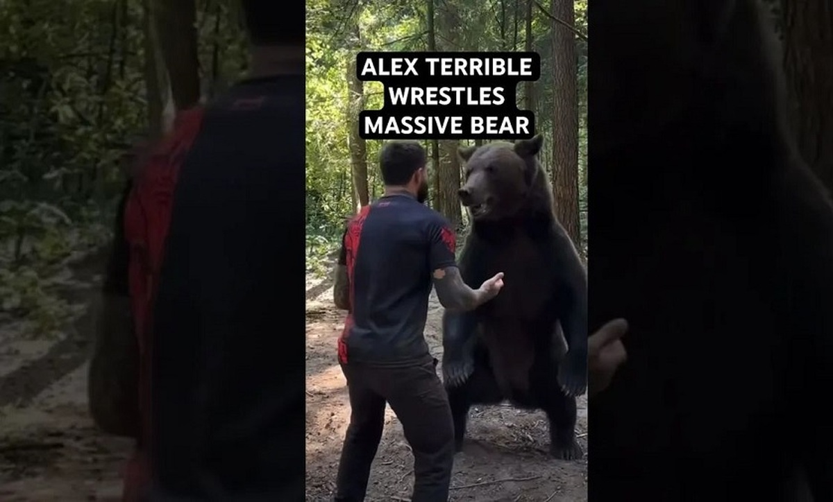 دیدار هیجان انگیز خرس غول پیکر با مردی که در کودکی او را نجات داد (فیلم)