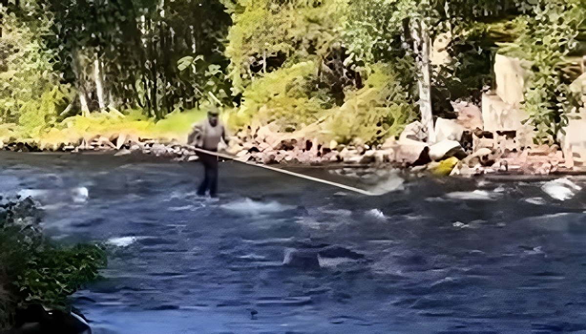 مهارت فوق العاده حرکت در رودخانه خروشان (فیلم)