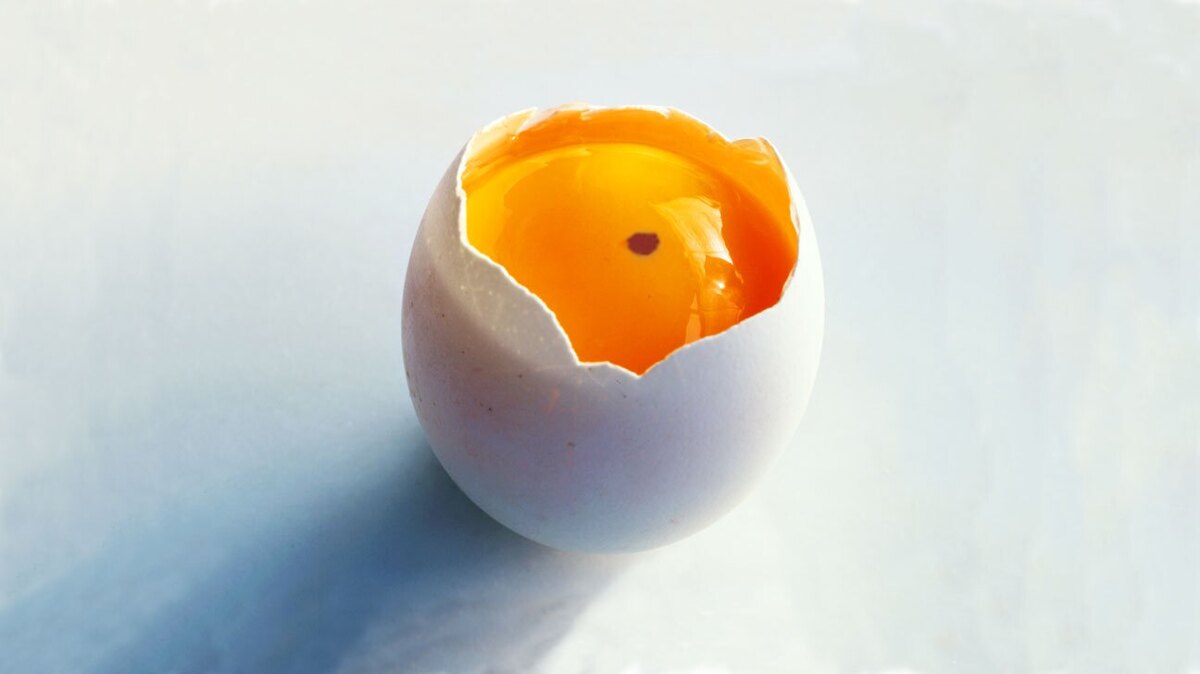 وجود لکه‌های قرمز در تخم مرغ نشانه چیست؟
