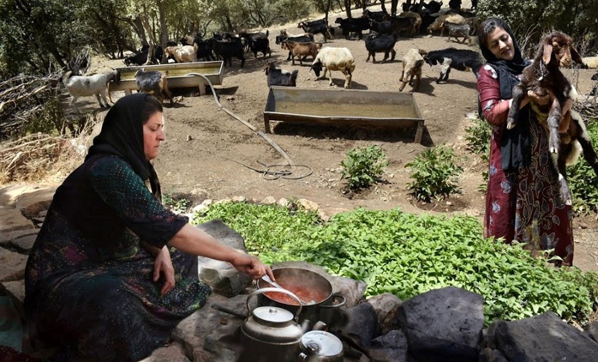 پخت هیجان انگیز خورشت خلال توسط این دو زن عشایر کردستانی (فیلم)