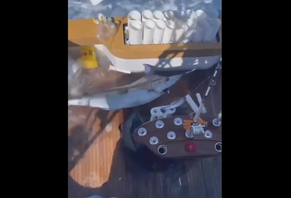 پرش هولناک یک اره ماهی در قایق (فیلم)