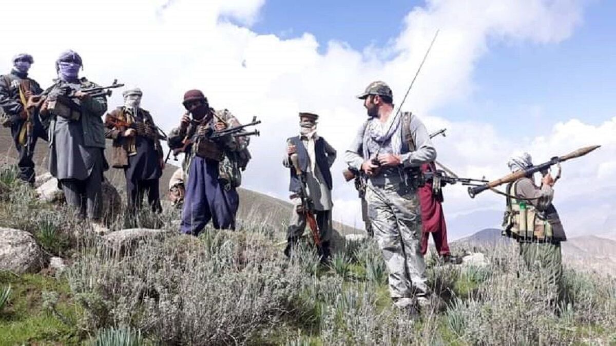تلفات طالبان در پاتک جبهه آزادی افغانستان