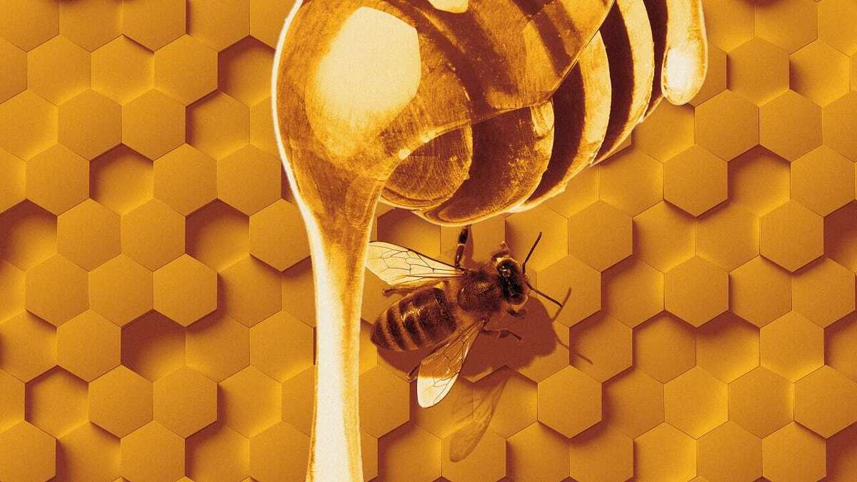 یک بار برای همیشه: عسل نه مدفوع است نه استفراغ زنبور ! (+فیلم و عکس)