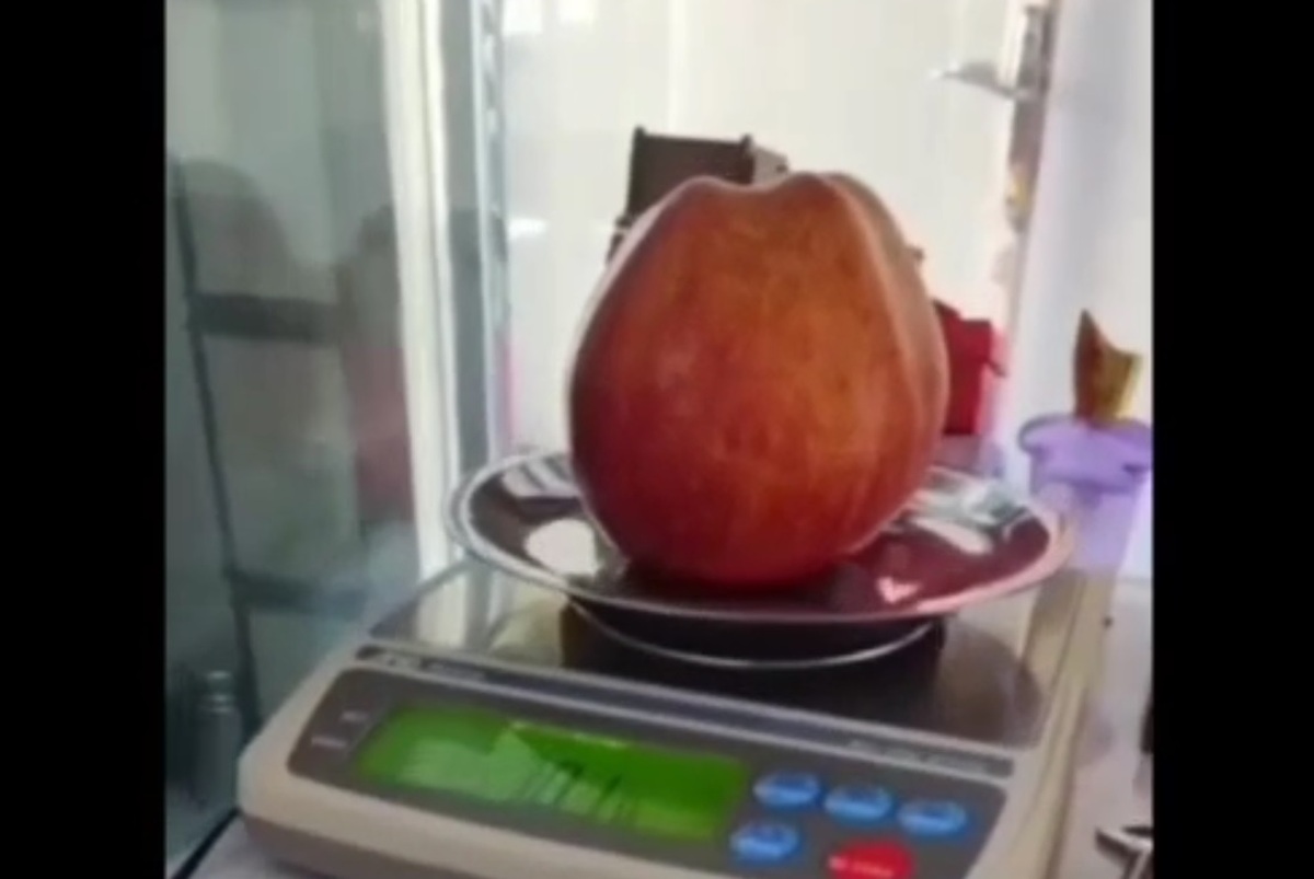 سیب نیم کیلویی در ایران (فیلم)