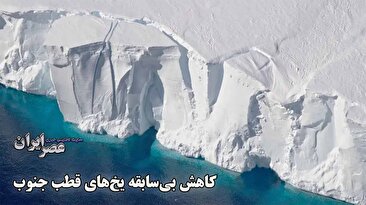 ذوب تاریخی یخ های قطب جنوب در 44 سال گذشته/ جوجه پنگوئن‌ها از بین می‌روند (فیلم)