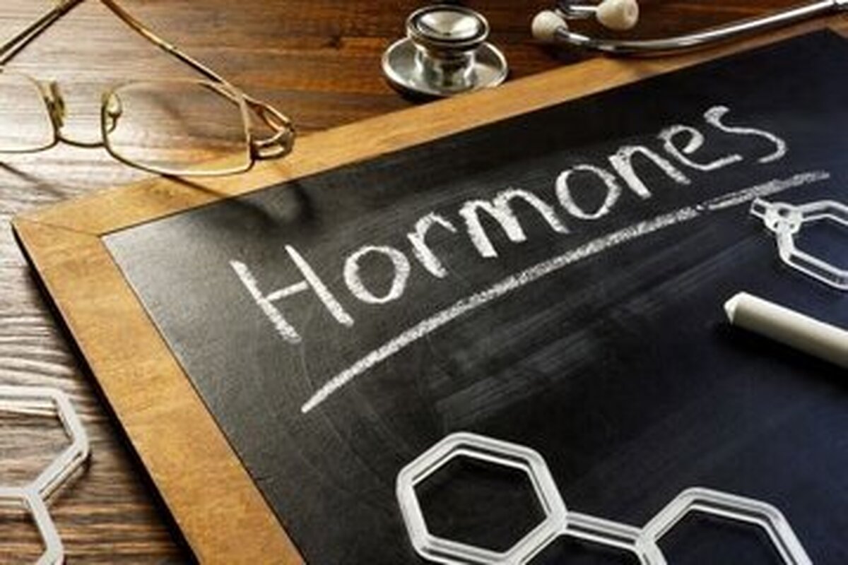 چند ماده غذایی مفید برای حفظ تعادل هورمون‌ ها