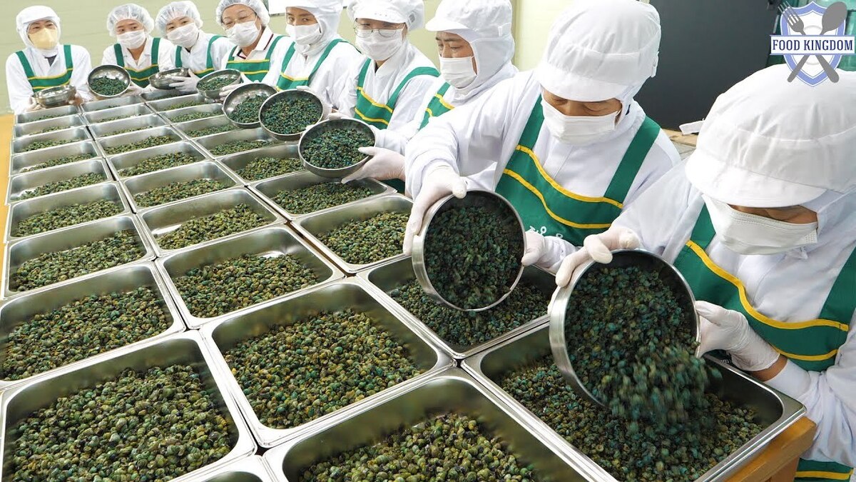 تولید کارخانه ای سوپ حلزون در کره جنوبی را ببینید (فیلم)