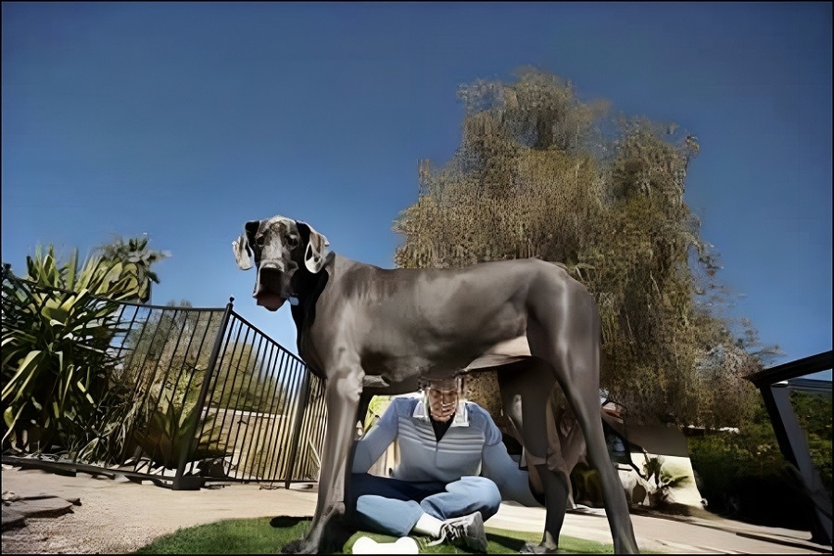 10 سگ خانگی بزرگ و غول پیکر دنیا (فیلم)