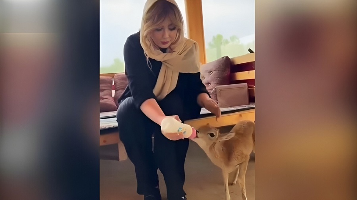 شیر دادن نیوشا ضیغمی با دخترش به یک بچه آهو (فیلم)