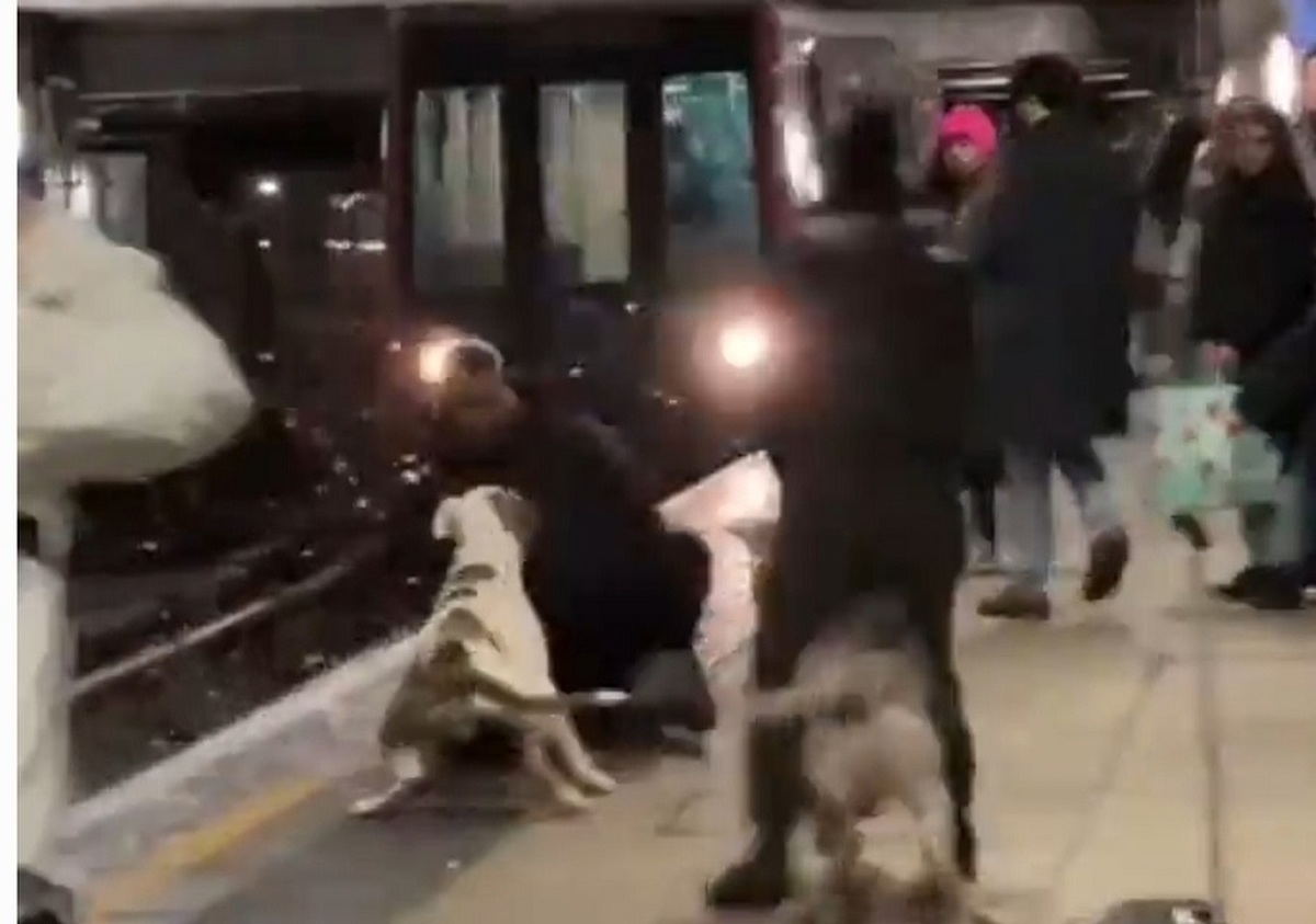 حمله یک سگ به مردی در ایستگاه مترو (فیلم)