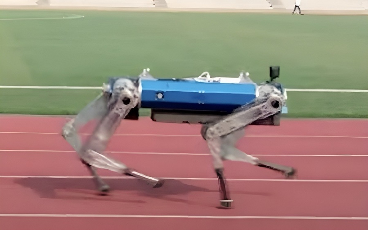سگ ربات رکورد گینس را در دو ۱۰۰ متر به نام خود ثبت کرد (فیلم)