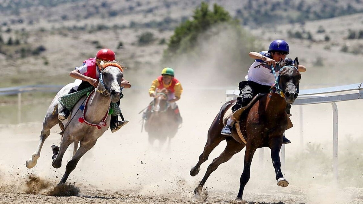خراسان شمالی برای نخستین بار قهرمان مسابقات پرش با اسب شد