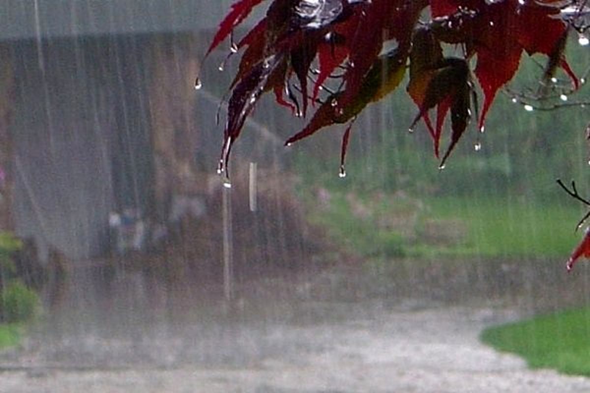 باران و کاهش دما در نوار شمالی/ اوج بارش امروز در مازندران