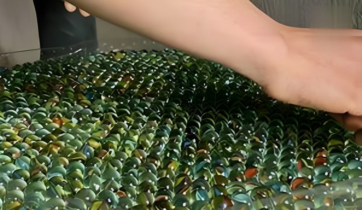 با ۱۲۰۰ عدد تیله شیشه‌ای این میز جذاب را بسازید (فیلم)