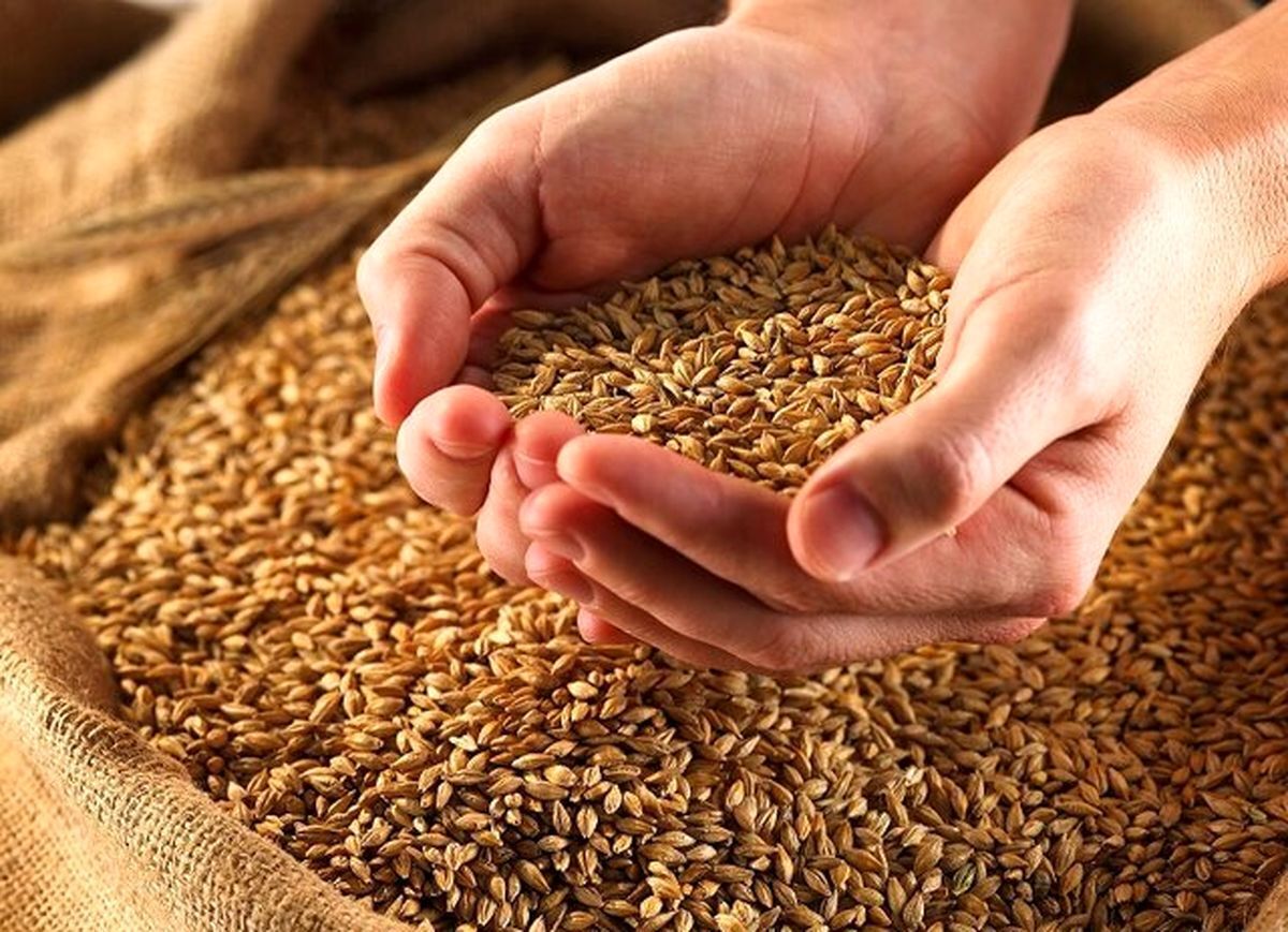 واردات بیش از یک میلیون تن گندم از ابتدای سال