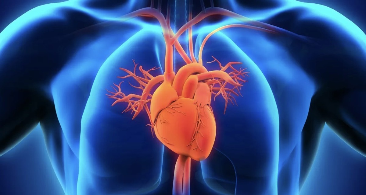 معجونی برای تقویت قلب در طب سنتی (فیلم)