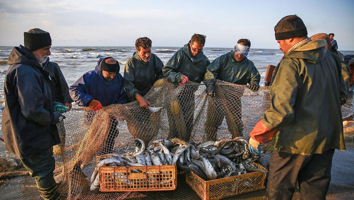 پایان صید ماهیان استخوانی از دریای خزر (عکس)