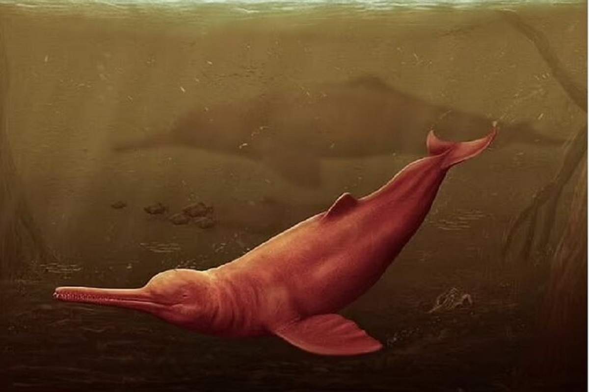 فسیل‌ بزرگ‌ترین دلفین جهان در آمازون کشف شد