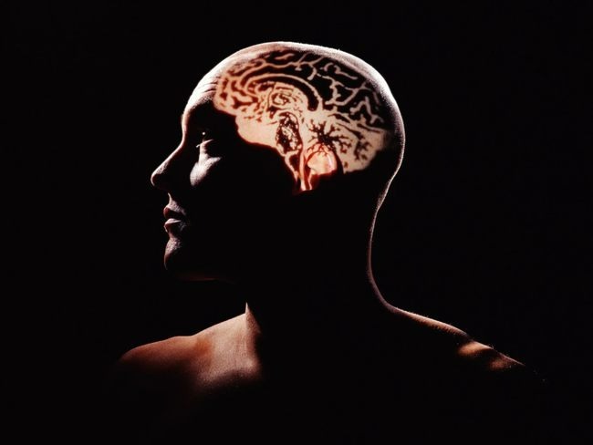 طبق جدیدترین یافته‌ها، مغز پیچیده ترین جسم جهان است!